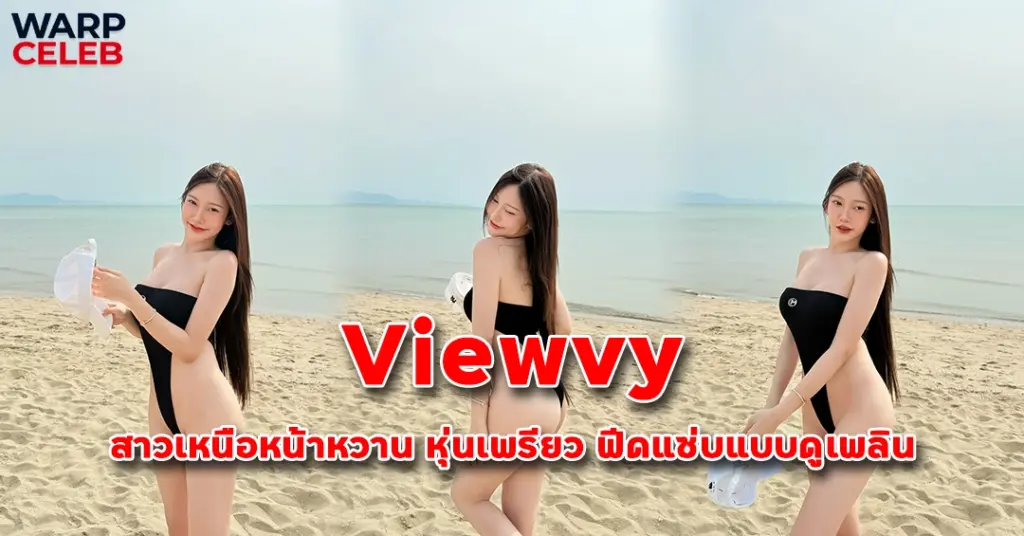 ปกเว็บ viewvy
