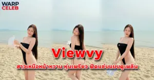 ปกเว็บ viewvy